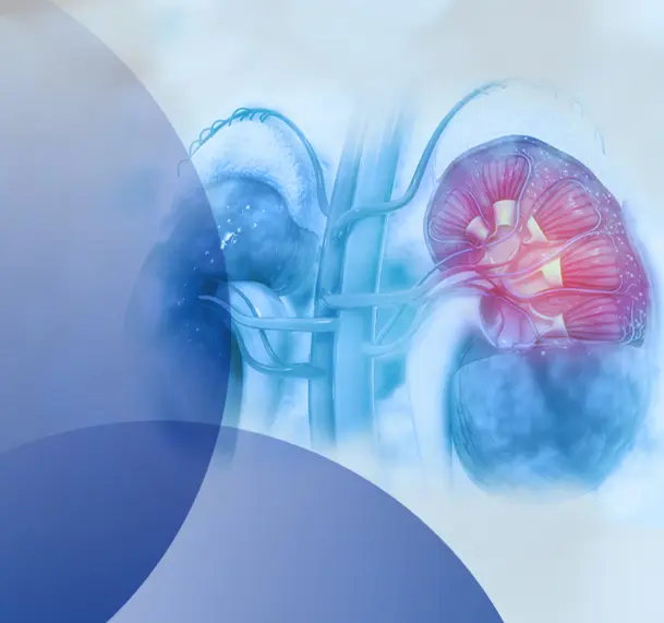 STADA SET TO EXPAND SPECIALTY PORTFOLIO WITH POSITIVE CHMP OPINION ON KINPEYGO ORPHAN MEDICINE FOR IGAN KIDNEY DISEASE