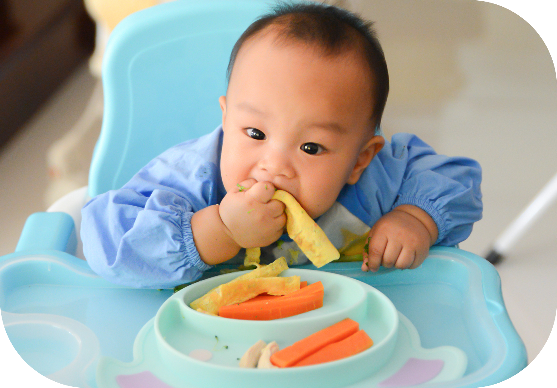 alimentar a tu hijo de 1 año