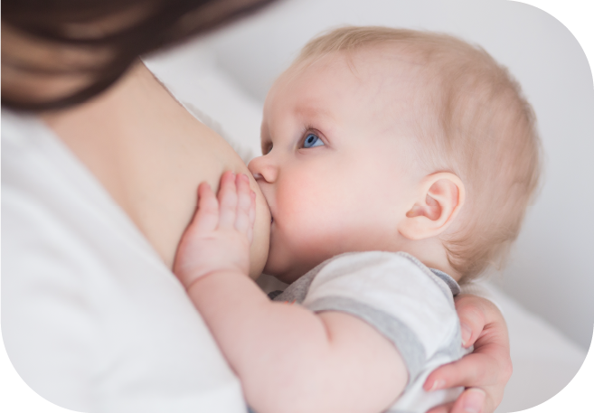 lactancia materna o biberon