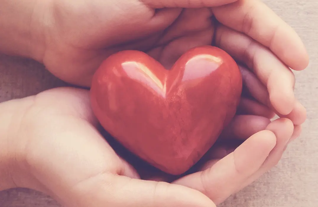 EL CORAZON: FUNCIONES Y PATOLOGIAS